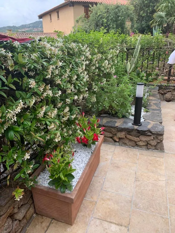 Appartamento Porto Rotondo Rudargia Apartment